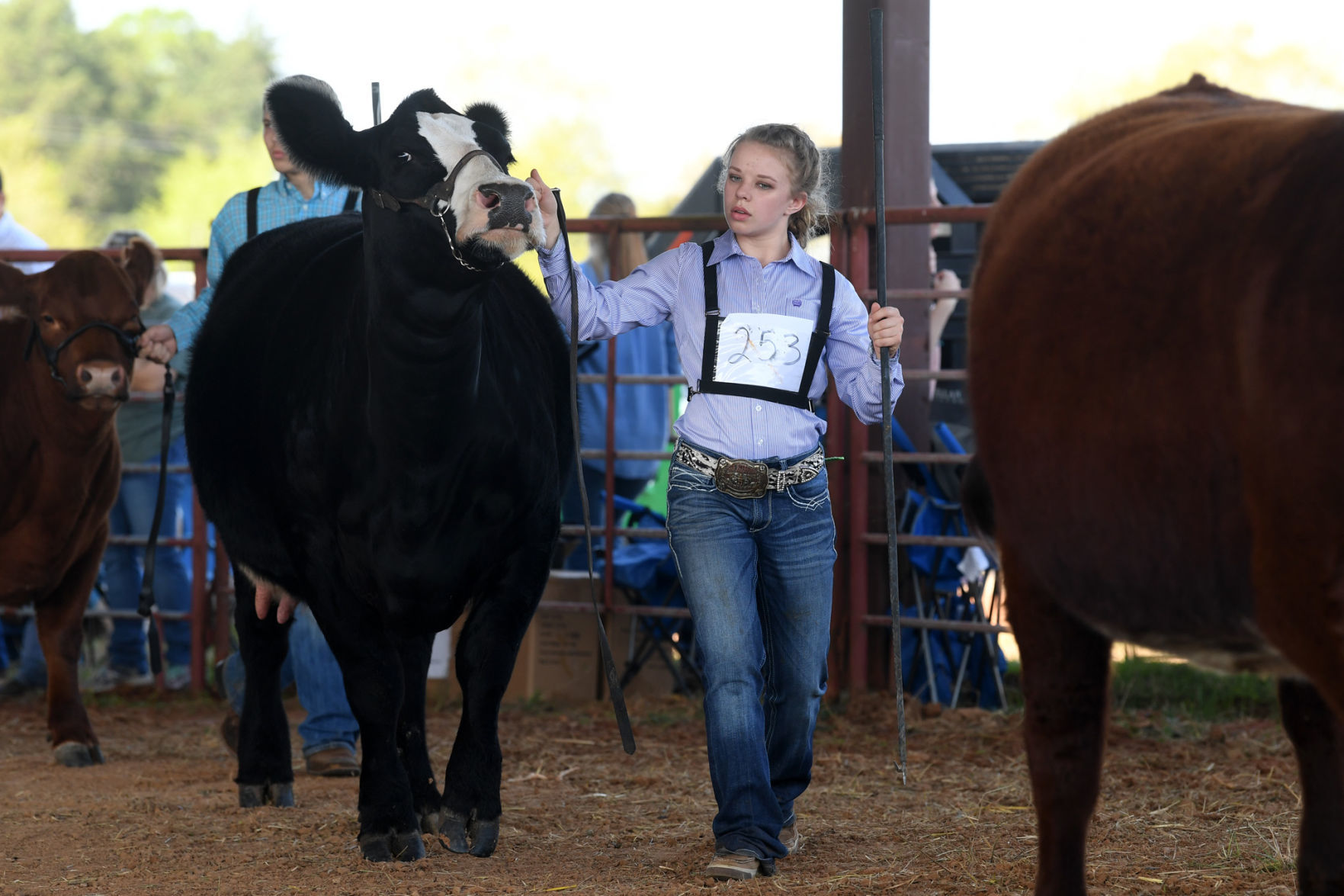 BTHO Coronavirus show